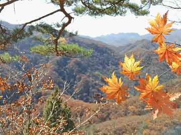 打胎药在线网上购买去医院看打胎药多少钱（去医院吃打胎药多少钱）